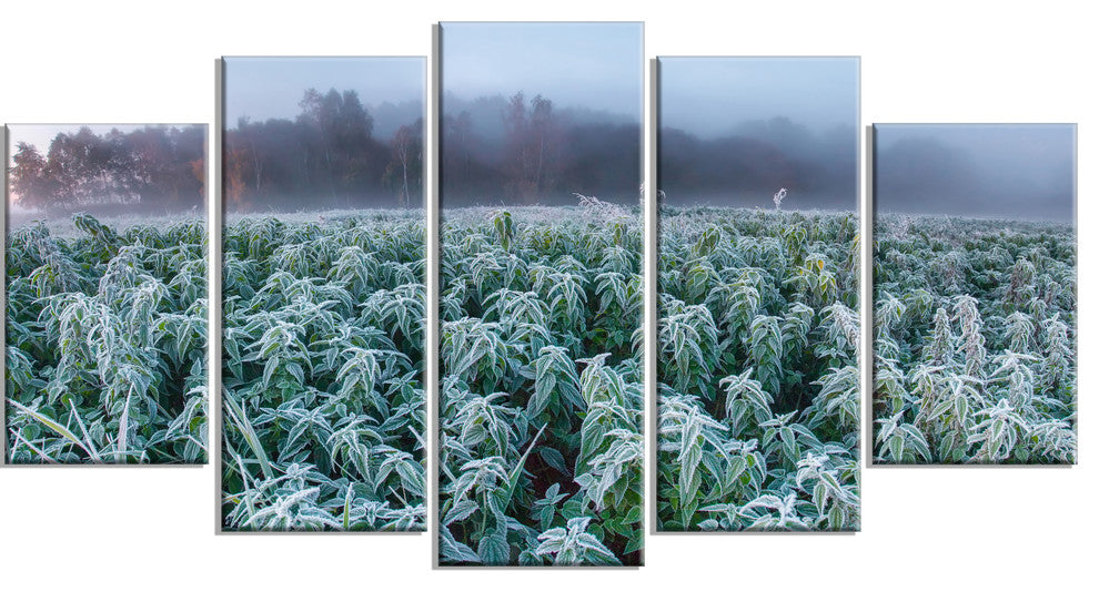"Frozen Hemp Field in Autumn Morning" Landscape Wall Art, 5 Panels, 60"x32"