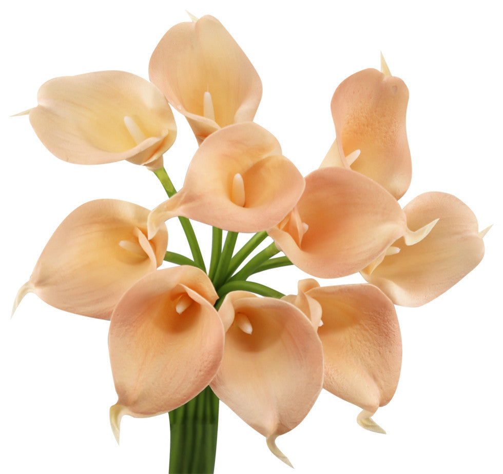 Pack of 10 soft touch lifelike artificial Calla lily, Light Peach(shell)