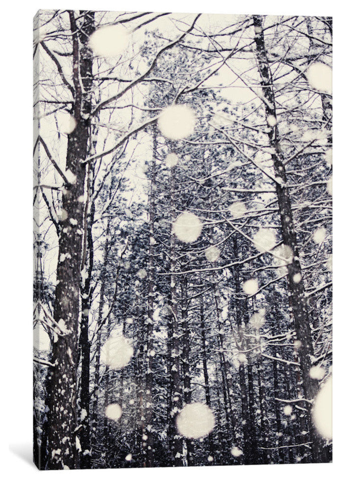 "Into The Woods" by Chelsea Victoria, 18x12x1.5