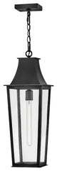 Hinkley Georgetown Large Hanging Lantern, Black