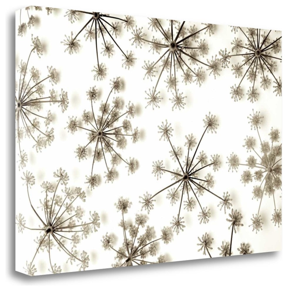 "Garden Bloom - 20" By Alan Blaustein, Giclee Print on Gallery Wrap Canvas