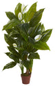 4.5' Spathyfillum Real Touch Plant