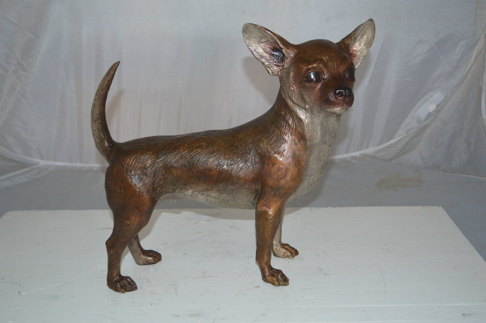 Standing Chihuahua Bronze Statue -  Size: 6"L x 16"W x 14"H.