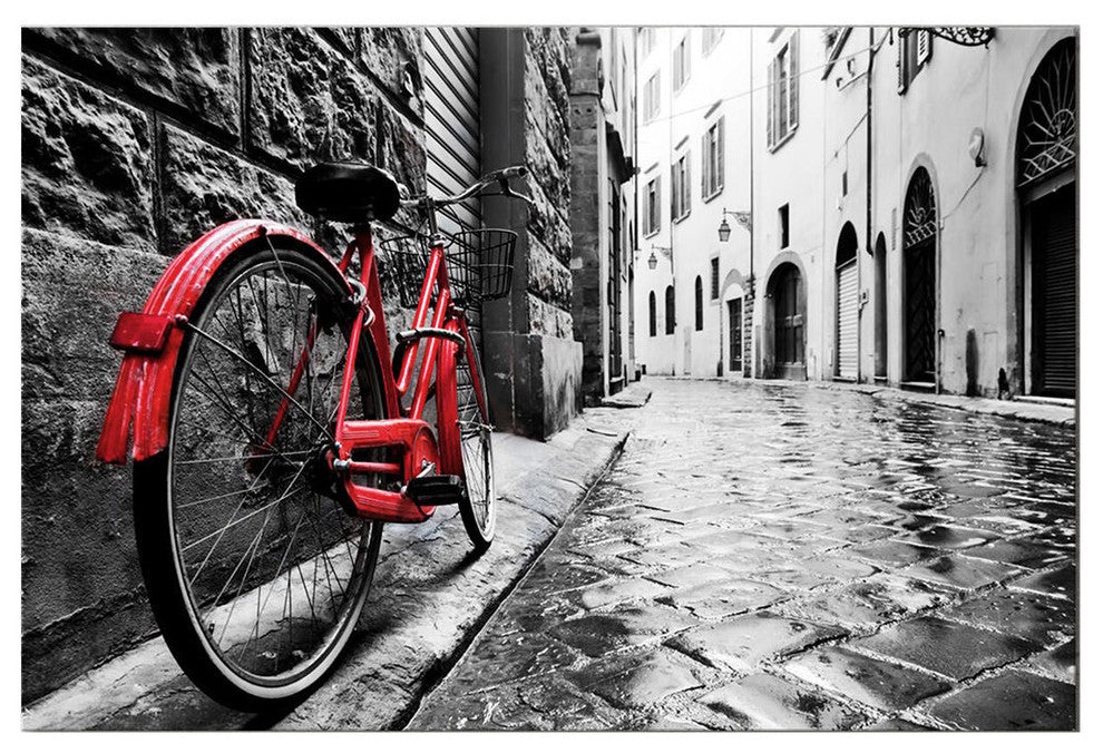 Yosemite Home Decor The Red Bike Wall Art