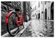 Yosemite Home Decor The Red Bike Wall Art