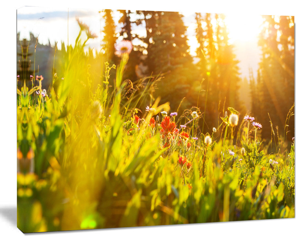 Green Meadow with Summer Flowers, Large Flower Canvas Wall Art, 60"x28"