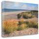 "Sandy Shores" By Assaf Frank,Ready to Hang Giclee Print on Gallery Wrap Canvas