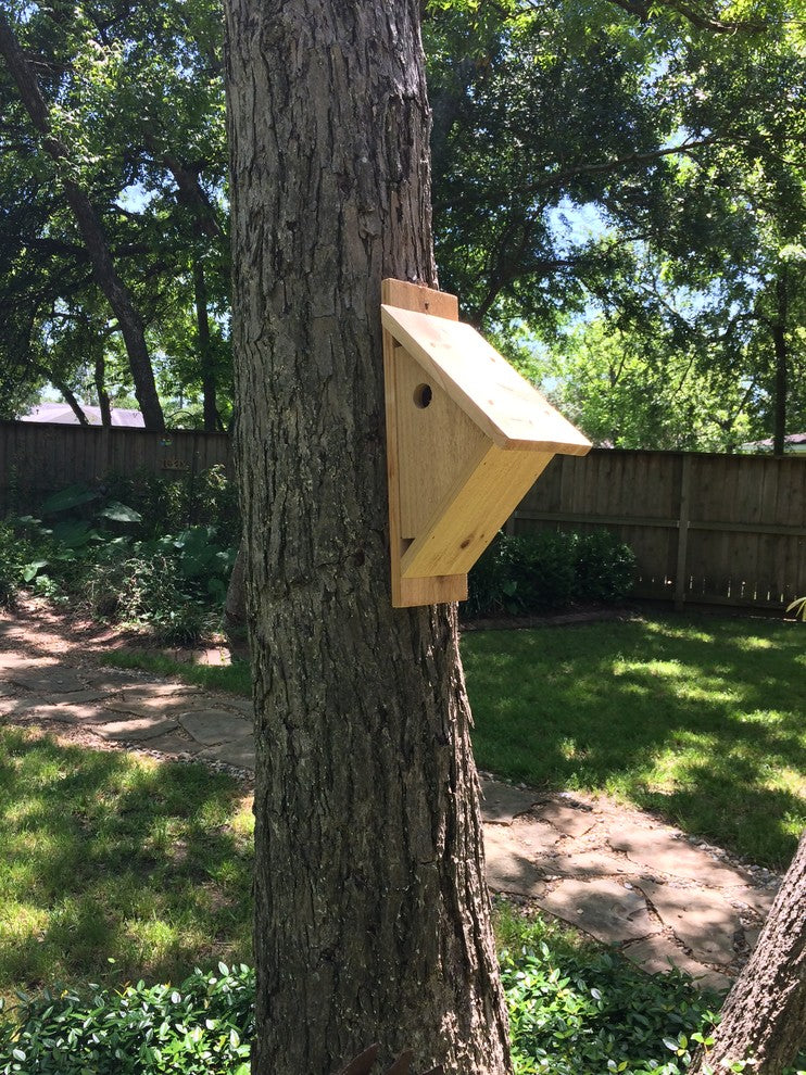 Bird House With Side Entry