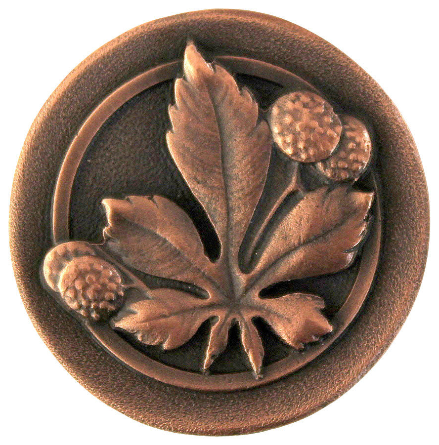 Horse Chestnut Knob Antique Brass, Antique Copper