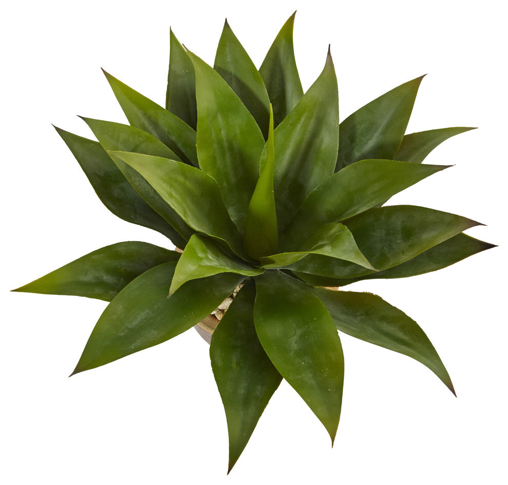 Agave Artificial Plant, Glazed Clay Pot