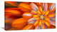Massive Orange Fractal Flower, Floral Canvas Art Print, 32"x16"