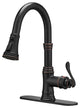 Wellfor Single Level Stainless Steel Kitchen Sink Faucet With Pull down Sprayer, Oil Rubbed Bronze