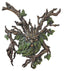 Crotchety Crank Tree Ent Plaque