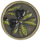 Olive Branch Knobs, Hand-Tinted Brass