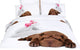 Twin Size Duvet Cover Sheets Set, Sleepy