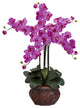 Phalaenopsis With Decorative Vase Silk Flower Arrangement, Orchid