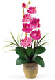 Phalaenopsis Silk Orchid Flower Arrangement, Dark Pink