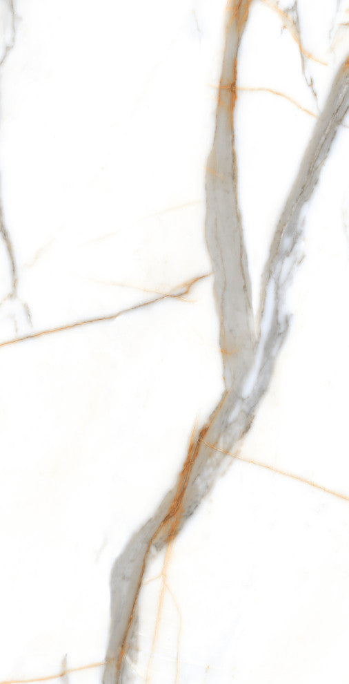 Calacatta Gold Porcelain Marble Look Matte Wall and Floor Tile, 24x48