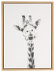 Giraffe Portrait Black and White Framed Canvas Wall Art