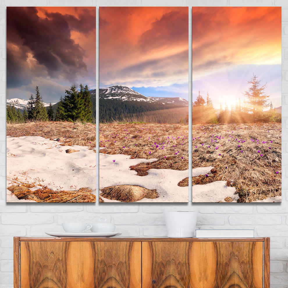 "Blooming Crocuses in Mountains" Photo Canvas Print, 3 Panels, 36"x28"