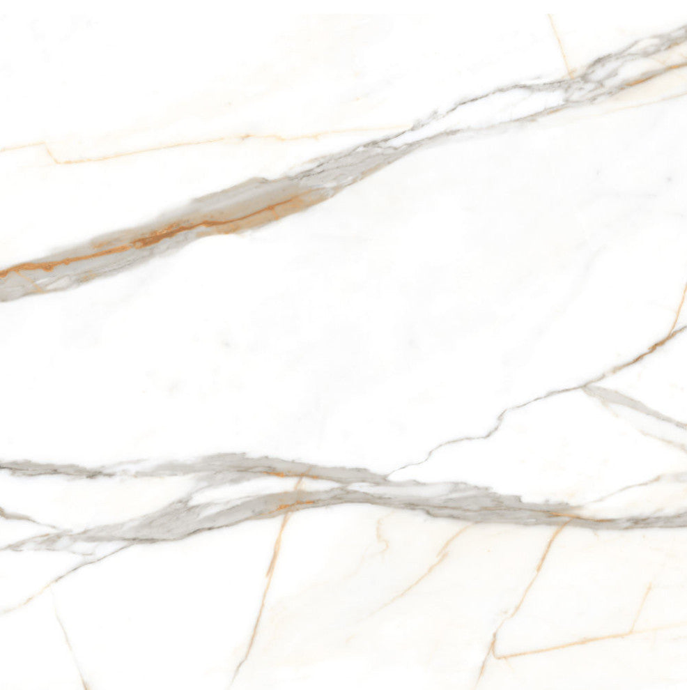 Calacatta Gold Natural Glossy Porcelain Tile, 24x48