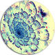 Blue Fractal Flower With Red Details, Digital Disc Metal Artwork, 23"