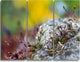 "Abstract Composition of Moss Flowers" Metal Wall Art, 3 Panels, 36"x28"