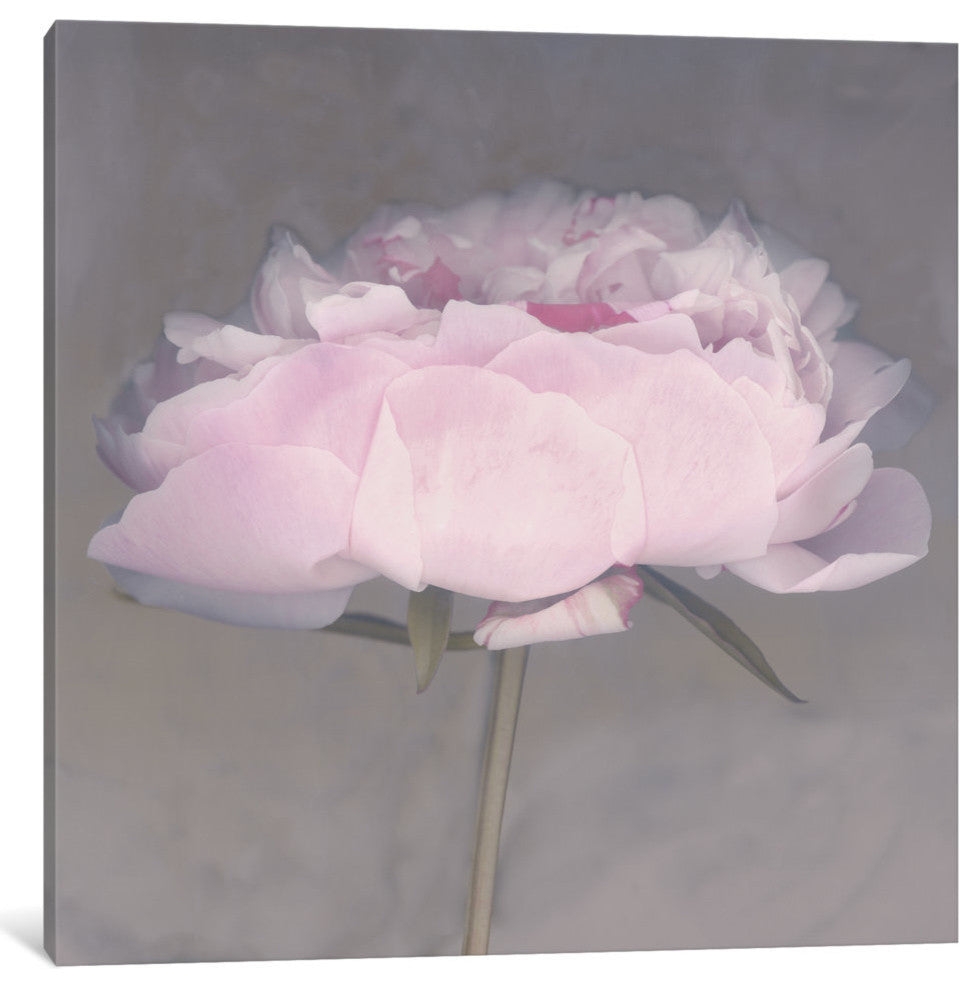 "Jolie" Wrapped Canvas Art Print, 12x12x1.5