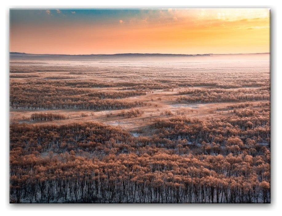 Dawn' Canvas Wall Decor