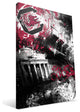 USC Gamecocks Spirit Canvas Print, 16"x24"
