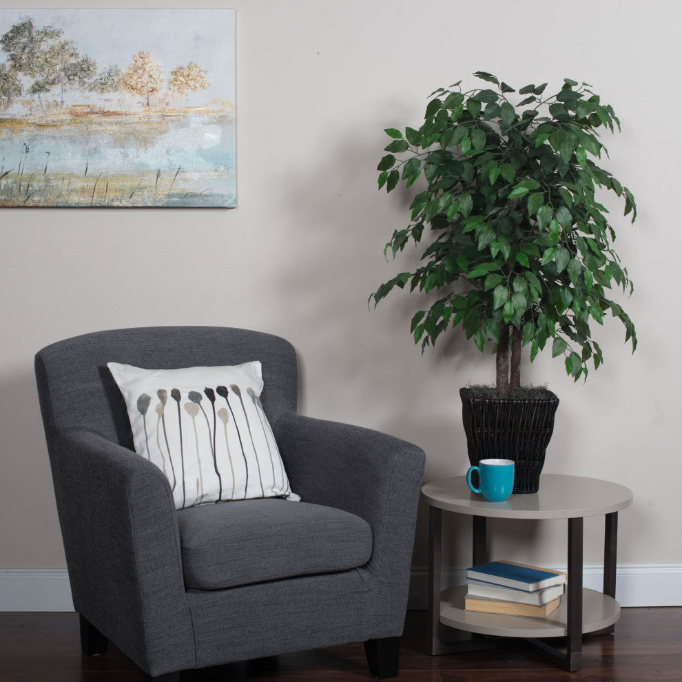 4' Ficus In Square Willow Container