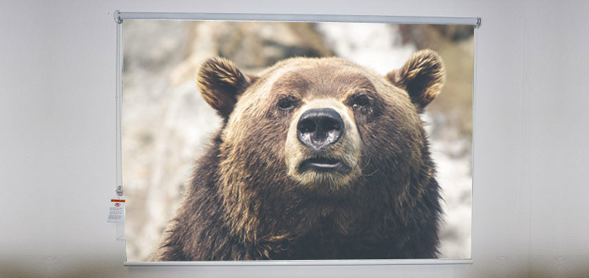 "Bear" Artwork, 4' Shade, Blackout, Left