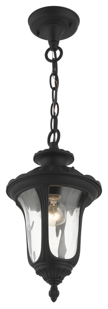 Textured Black Traditional, Victorian, Sculptural, Outdoor Pendant Lantern