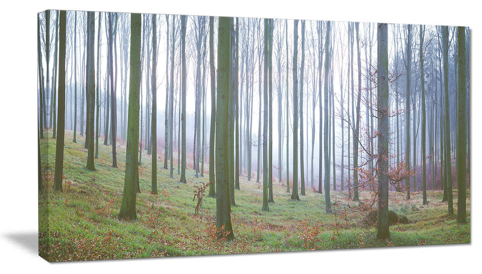 "Autumn Tree Trunks Panorama" Oversized Forest Canvas Artwork, 32"x16"