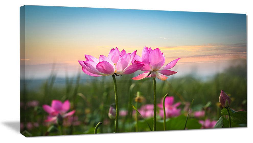 "Blooming Lotus Flowers at Sunset" Floral Canvas Photo Print, 32"x16"