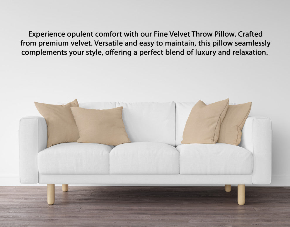 A1HC Soft Velvet Pillow Covers, YKK Zipper, Set of 2, Mocha, 22"x22"