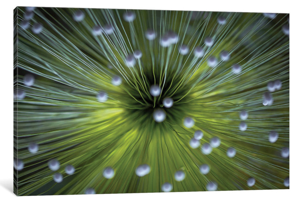 "Inverted Commas" by Wave Faber, 40x26x1.5