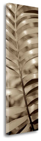 "Florison - 92" By Alan Blaustein, Giclee Print on Gallery Wrap Canvas