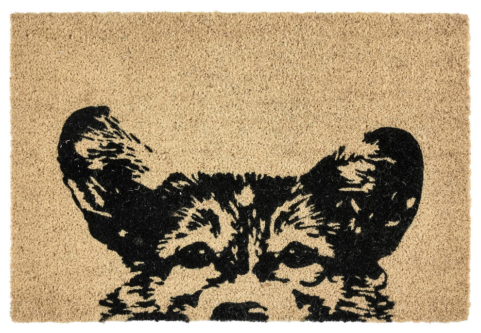 Sparky 24x36 Coir Doormat by Kosas Home