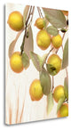 "Lemons - 1" By Alan Blaustein,Ready to Hang Giclee Print on Gallery Wrap Canvas