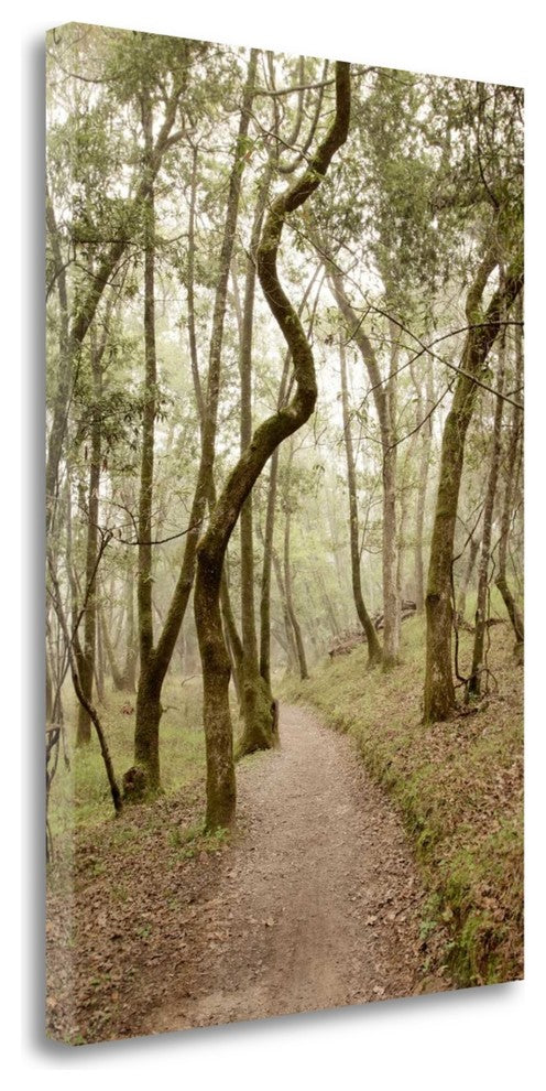 "Oak Tree - 48" By Alan Blaustein, Giclee Print on Gallery Wrap Canvas