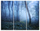 "Trail Through Blue Fall Forest" Photo Metal Wall Art, 3 Panels, 36"x28"