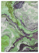 Machine Washable Indoor/Outdoor Chantille ACN1908 Green 5' x 7'6" Rug