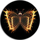 Fire Fractal Butterfly In Dark, Abstract Art Round Wall Art, 38"