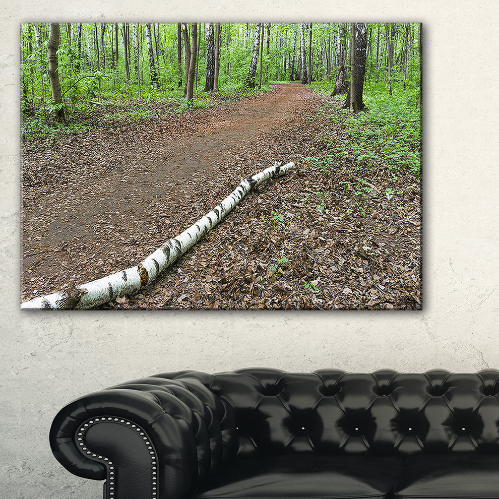 "Trunk of Birch On The Track" Contemporary Landscape Wall Art, 40"x30"