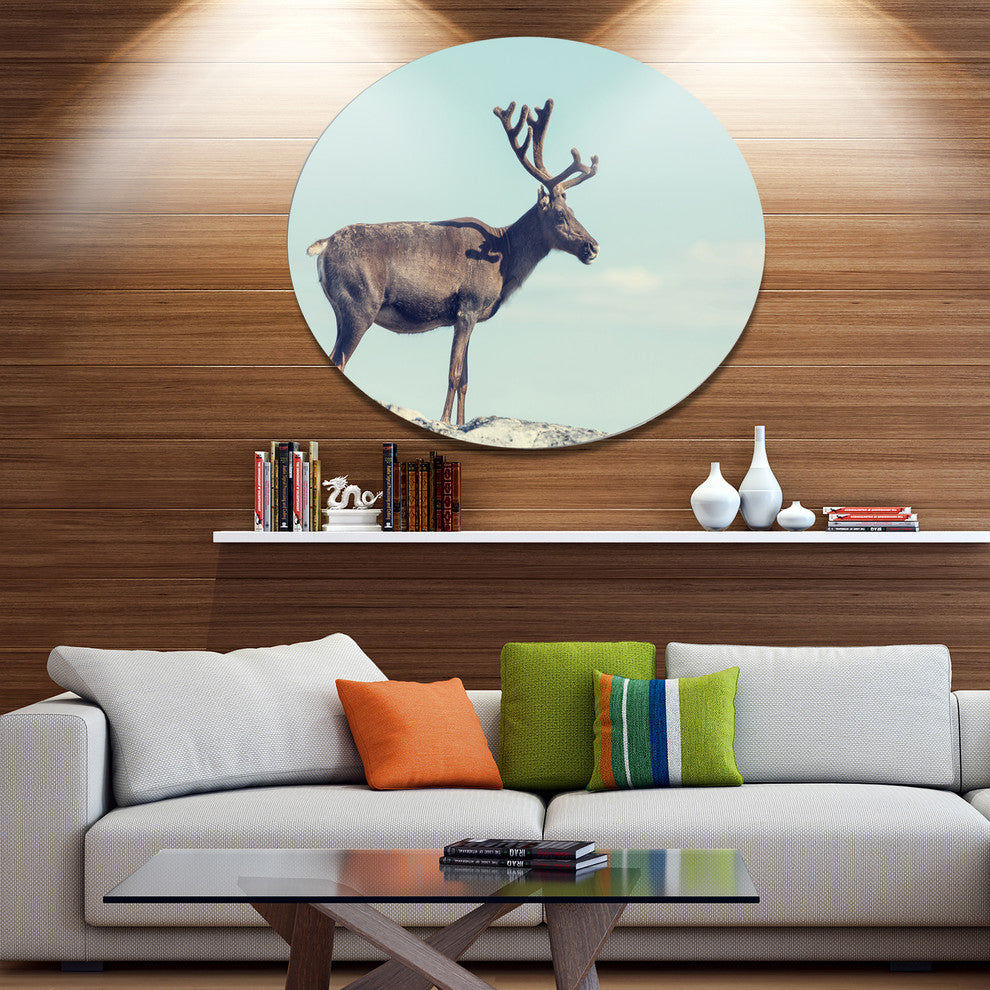 Reindeer In Norway, Animal Disc Metal Artwork, 23"