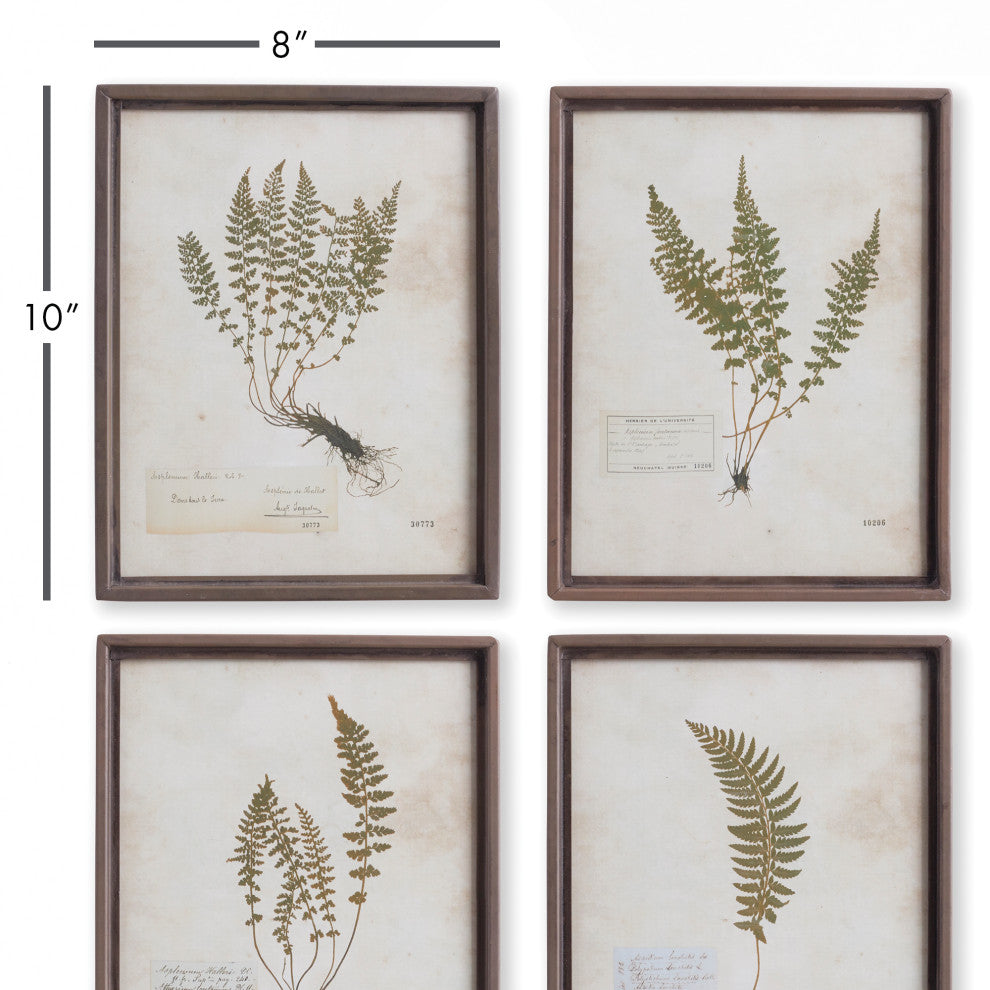 4-Piece Petite Frond Print Set