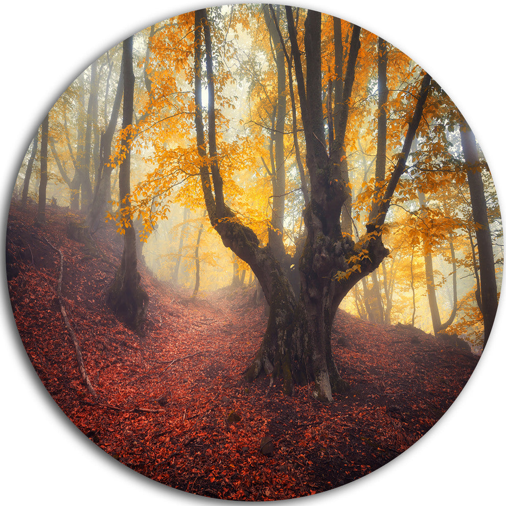 Dark Old Yellow Forest, Landscape Photo Round Metal Wall Art, 36"