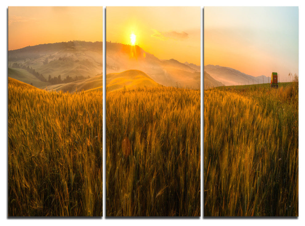 "Tuscany Wheat Field at Sunrise" Metal Wall Art, 3 Panels, 36"x28"