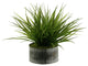 Wild Grass in Round Tin Planter